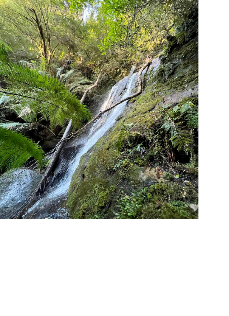 Waterfall